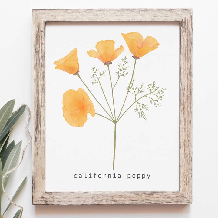 Impresión de Arte de Amapola de California | Decoración de Pared Botánica para venta al por mayor de Kourtni Gunn Art