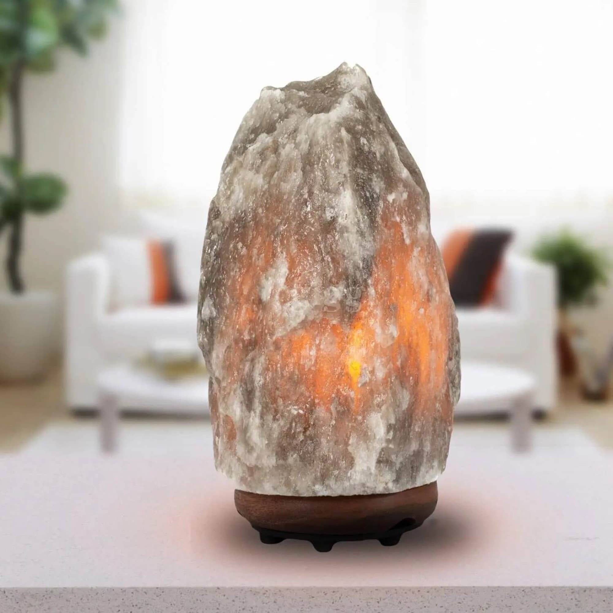 Himalayan Trading Co.® - Wholesale Salt Lamp - Rare Gray Himalayan Salt Lamp (6-9 lb) W/ Bulb & Dimmer Cord3