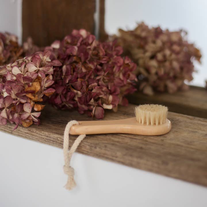 Croll & Denecke - Wholesale Body Brush - Wooden facial brush for spa eco nature