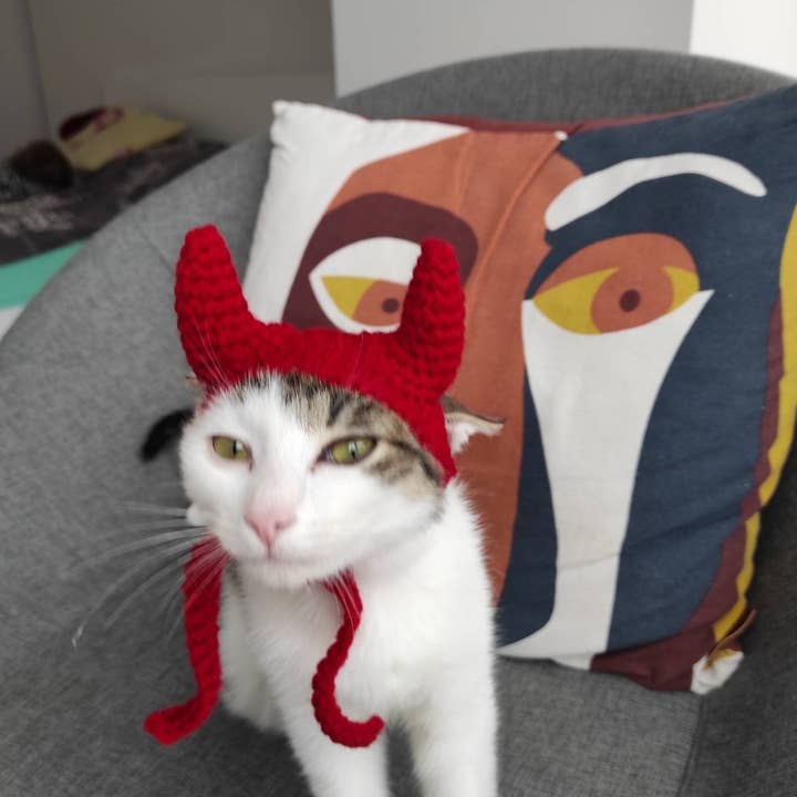 FairyBabyGifts - Vente Déguisement – chat - Chapeau de diable chat avec cornes Costume de chat Halloween Cadeau amoureux des chats2