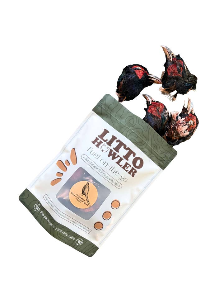 Freeze-Dried Rainbow Pheasant Head | 1 Count for wholesale by Litto Howler