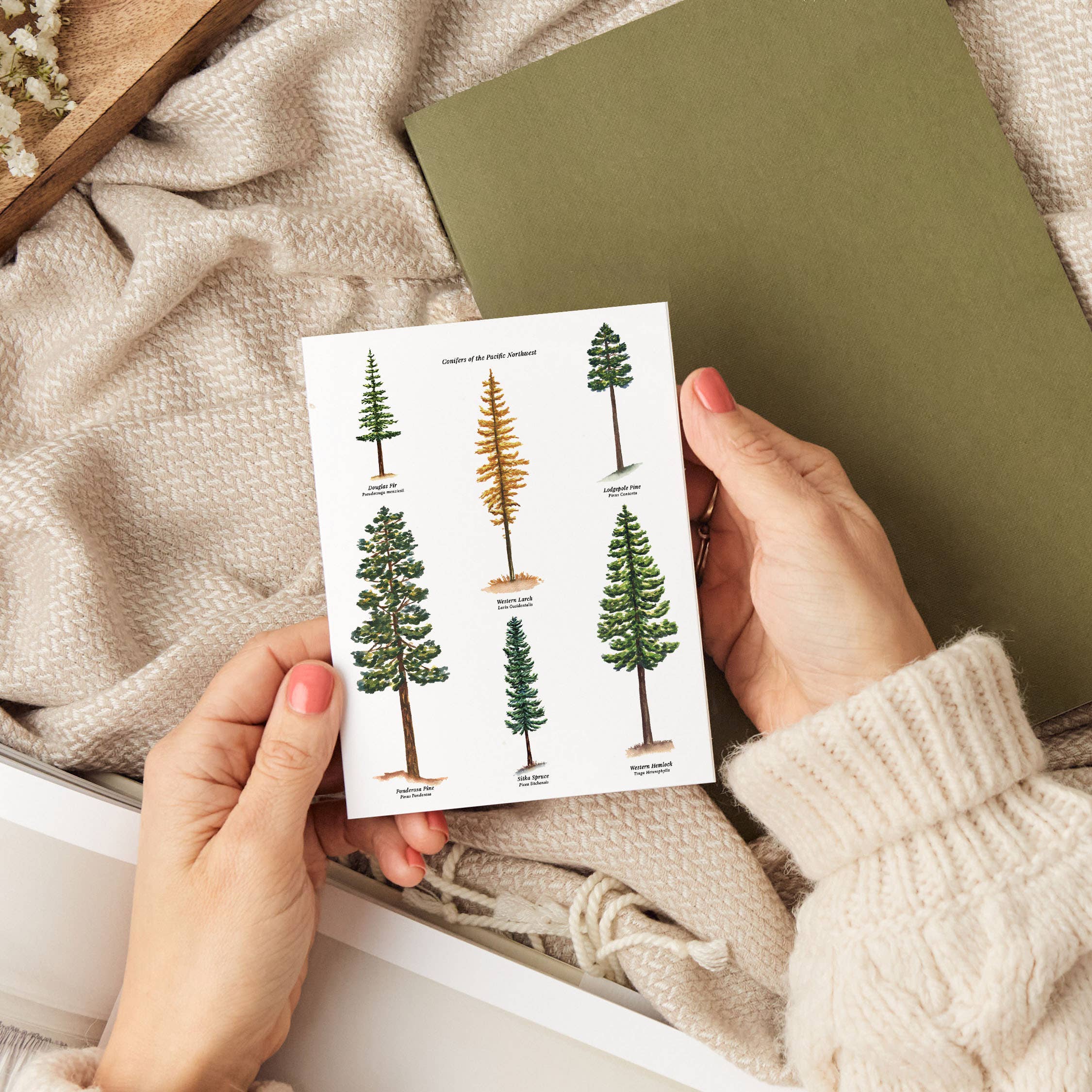 Watercolor Wednesday - Wholesale Everyday Greeting Card - Tree Card PNW | Everyday Greeting Card | Woodsy Design2