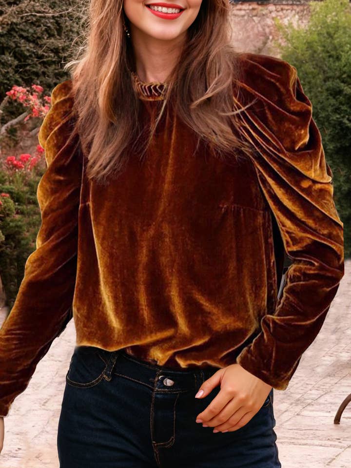 Chestnut Frilled Collar Puff Sleeve Velvet Top for wholesale by FULL TIME PURCHASE