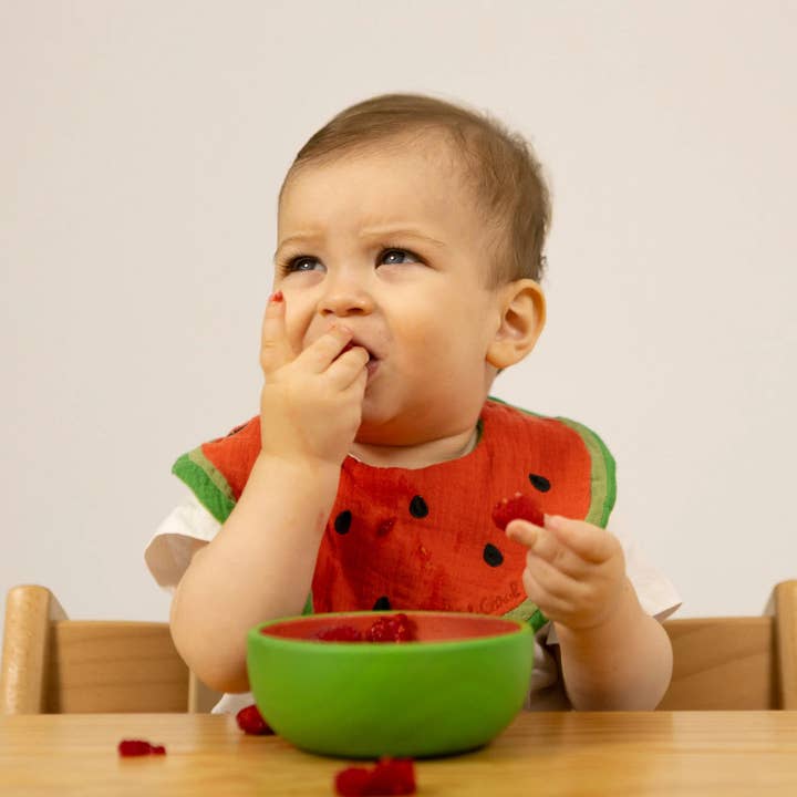 Little Concepts Distribution Ltd – wholesale Dinnerware set – Kids & Baby – Oli&Carol Wally the Watermelon Bowl & Spoon Set2