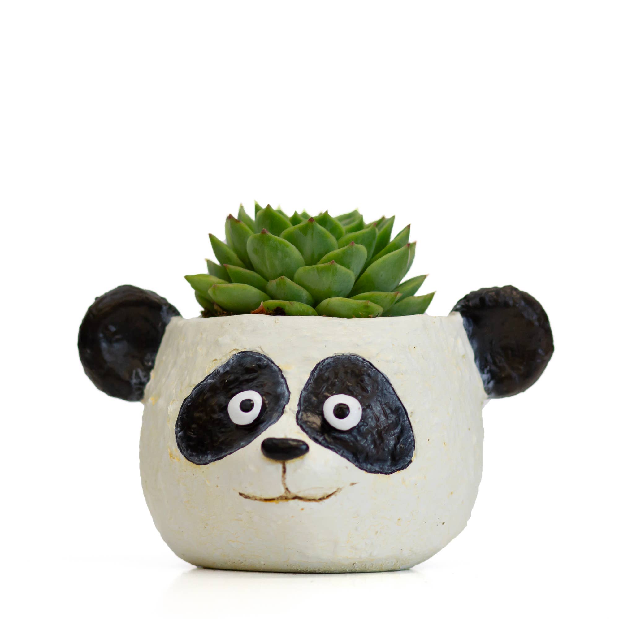 Cohasset Gifts - Wholesale Plant Pot - Mochi the Panda Head Blobhouse Planter1