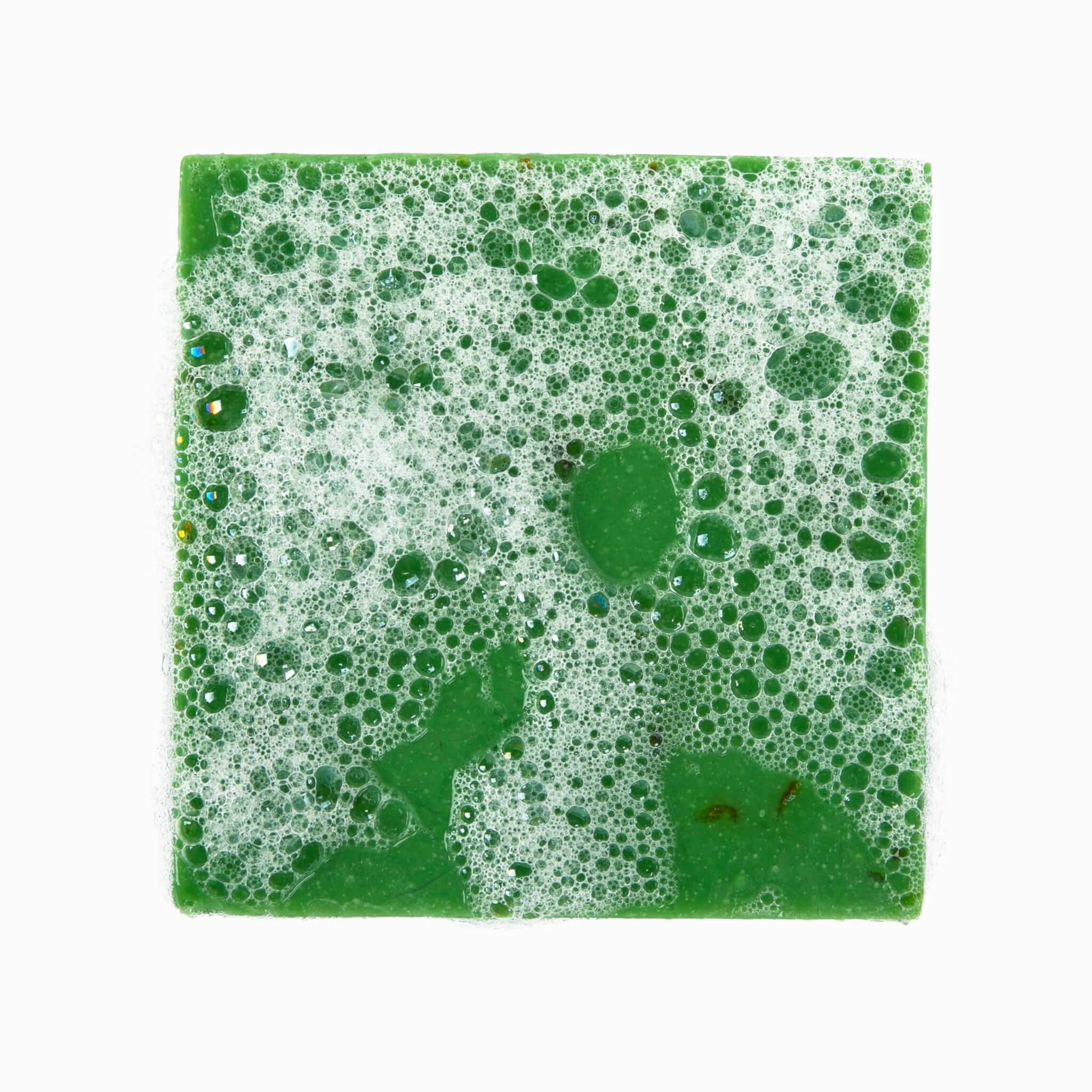 FORESTBORN - Wholesale Bar Soap - Lime & Thyme Twister5