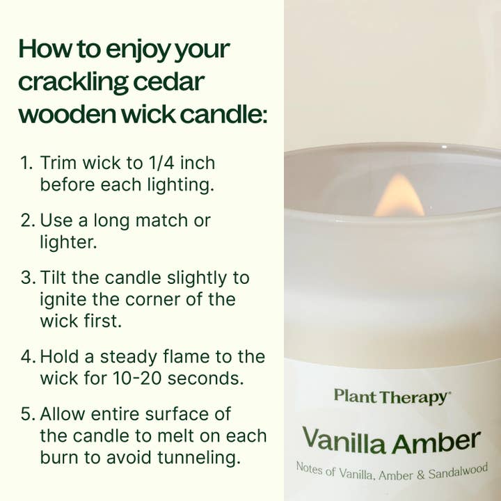 Plant Therapy - Wholesale Jar/Filled Candle - Vanilla Amber Naturally Scented Candle 8 oz
