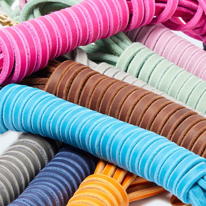 Leopold's Finest for dogs - Wholesale Pet Leash - Dog - Rounded leather tracking leash 5m22