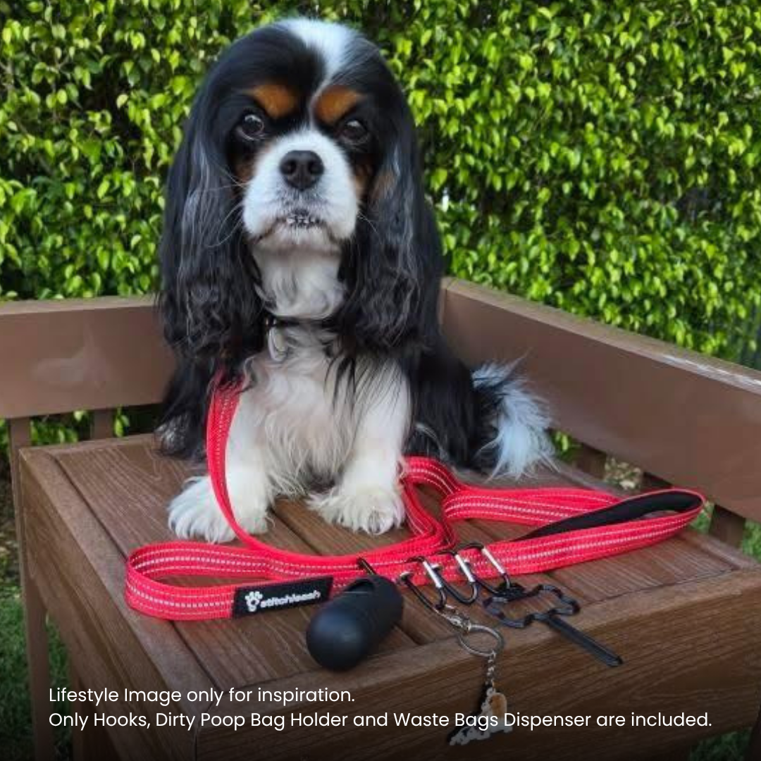 StitchLeash - Wholesale Pet Leash - Dog - StitchLeash® Bryce Clip & Go™ Flat Nylon Leash – Pink | 6 ft | 24 per case6