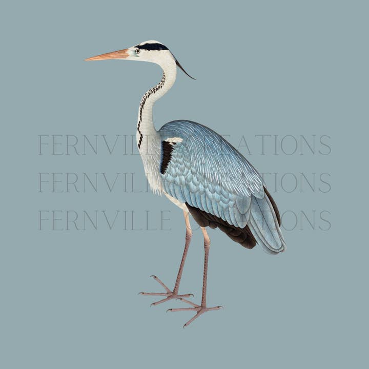 Fernville Creations - Wholesale Bath Towel - Blue Heron Luxury Fingertip Towel for Bath and Powder Room