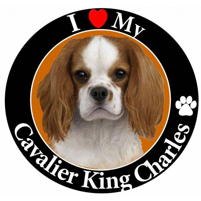 King Charles Cavalier Circle Magnete per la vendita all'ingrosso da parte di E&S Pets