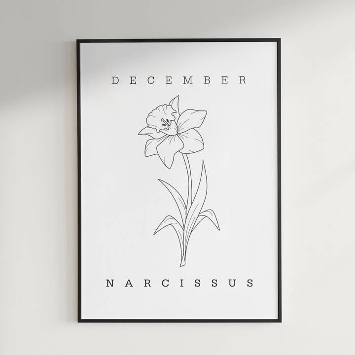 December Narcissus Birth Flower Print: Botanical Line Art for wholesale by Hound & Fox Print Co