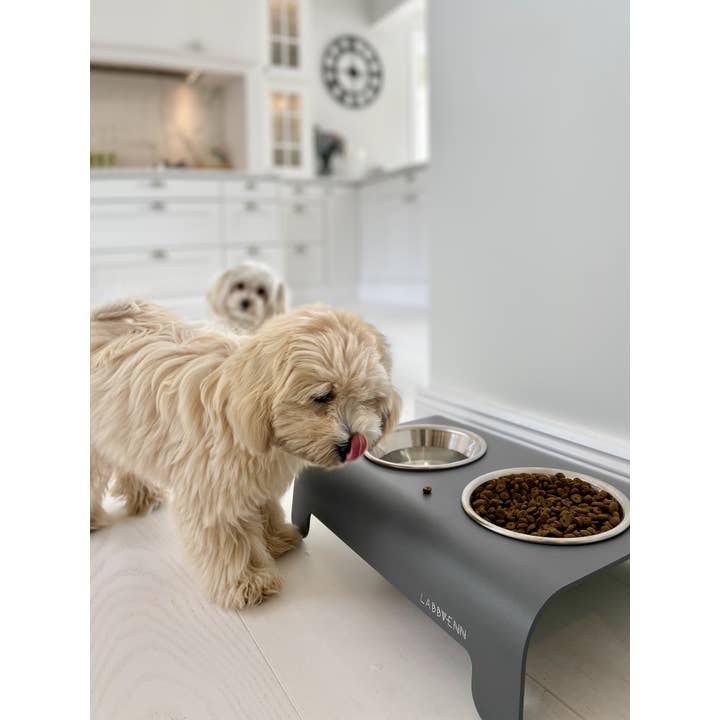 Labbvenn - Wholesale Pet Bowl - Cat/Dog - Rico Ffeder41
