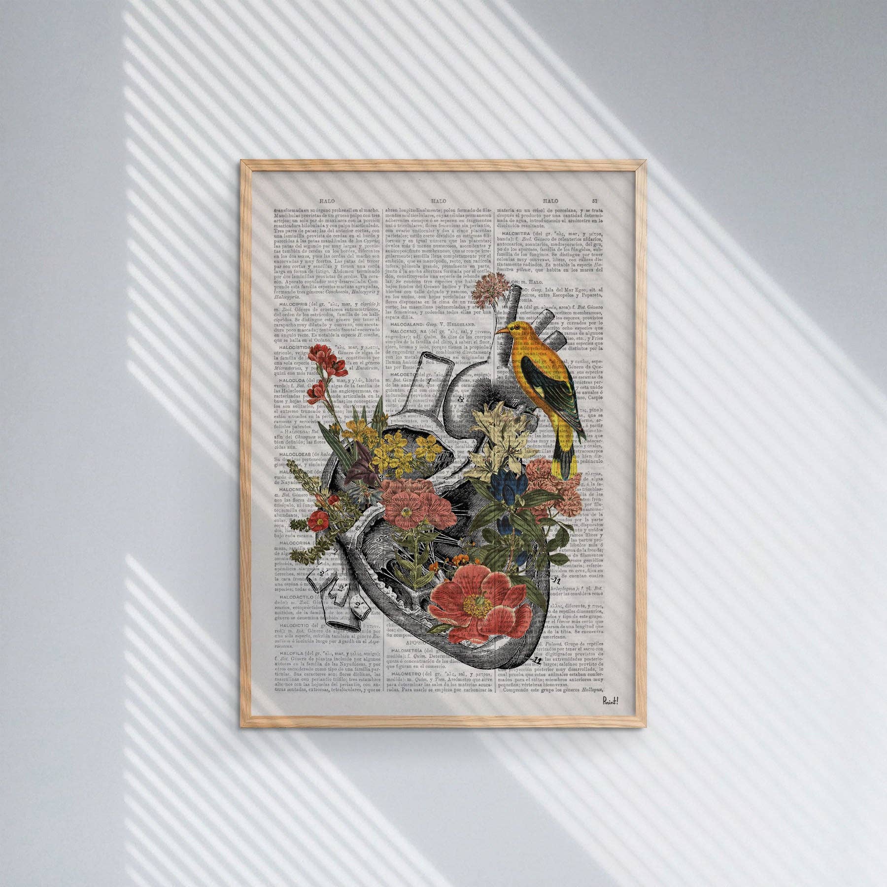 PRRINT! - Vente Affiche d'art - Imprimé cœur anatomique6