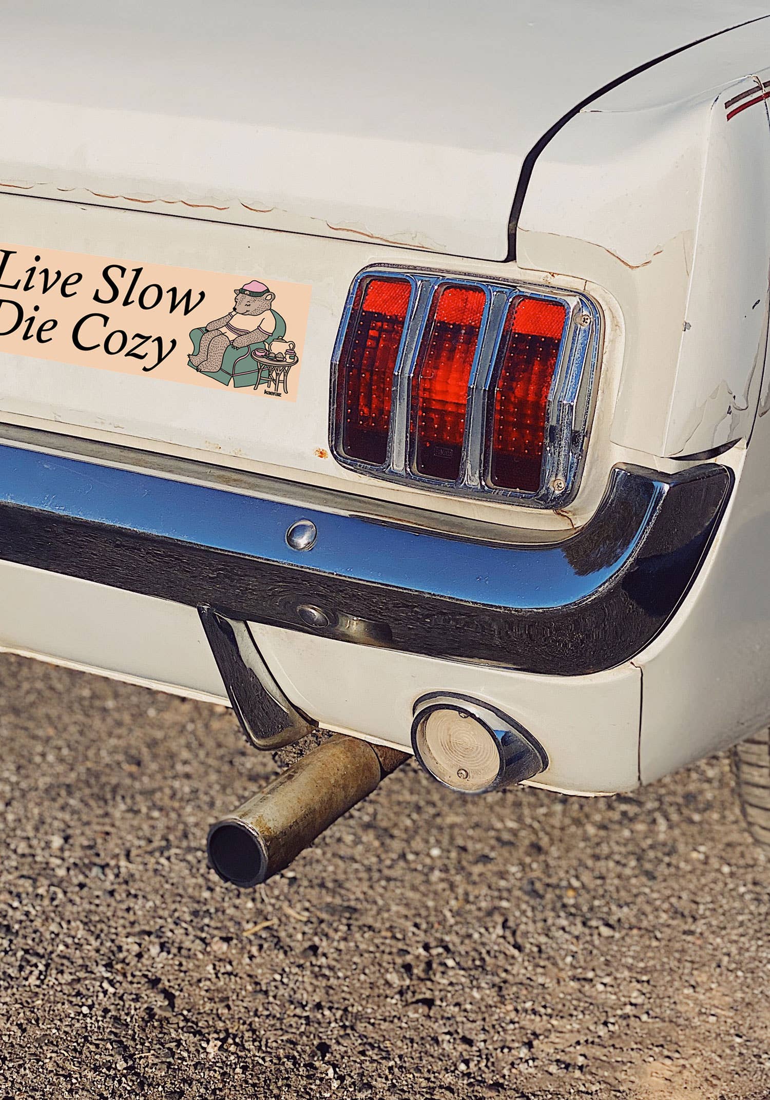 kaeraz - Vente Autocollant - Autocollant pour pare-chocs Live Slow Die Cozy2