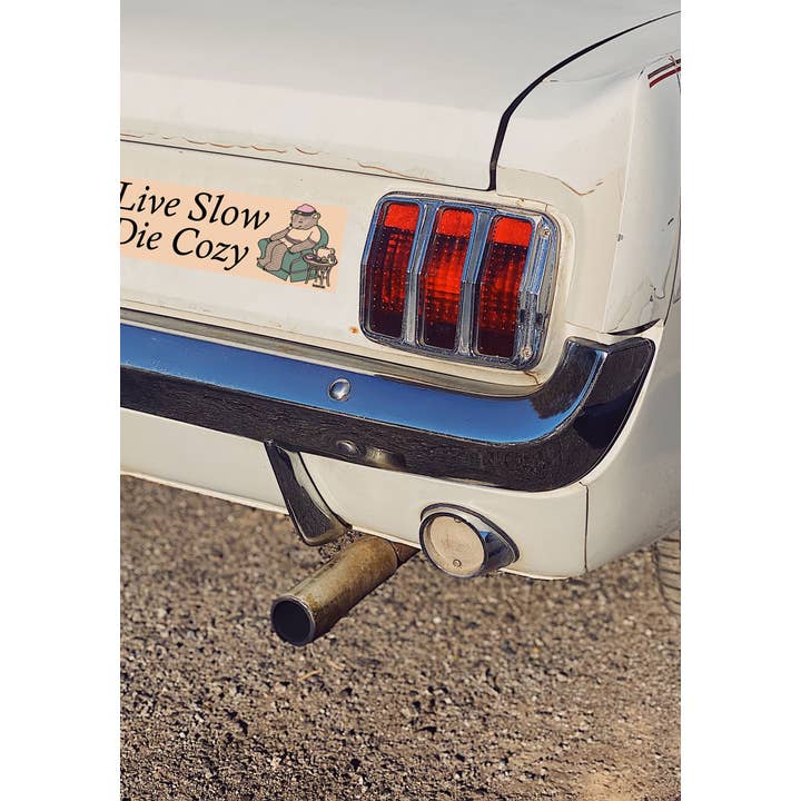 kaeraz - Vente Autocollant - Autocollant pour pare-chocs Live Slow Die Cozy2