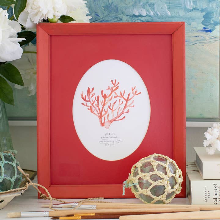 Mini Corail Rouge pour la vente par Lindsay Letters