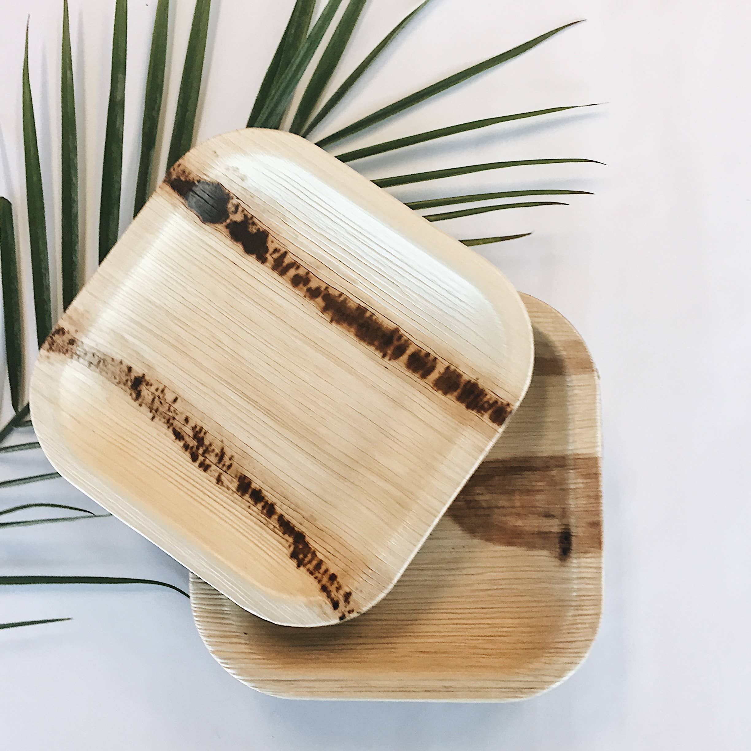 Dryleaf - Wholesale Dinner Plate -  Square Plate3