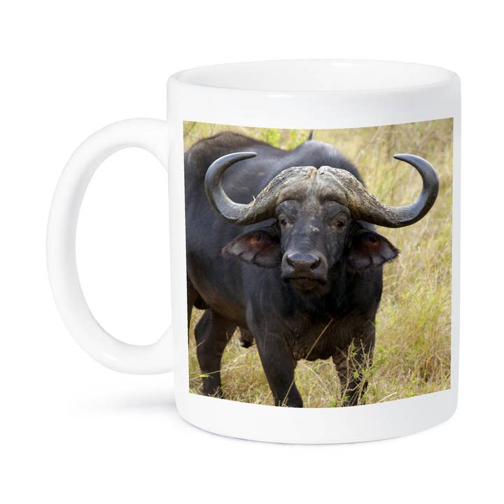 3dRose - Wholesale Coffee Mug - 3dRose, South Africa, Zulu Nyala Game Reserve, Zebra-AF42 LEN0076 - Lisa S. Engelbrecht, Mug8