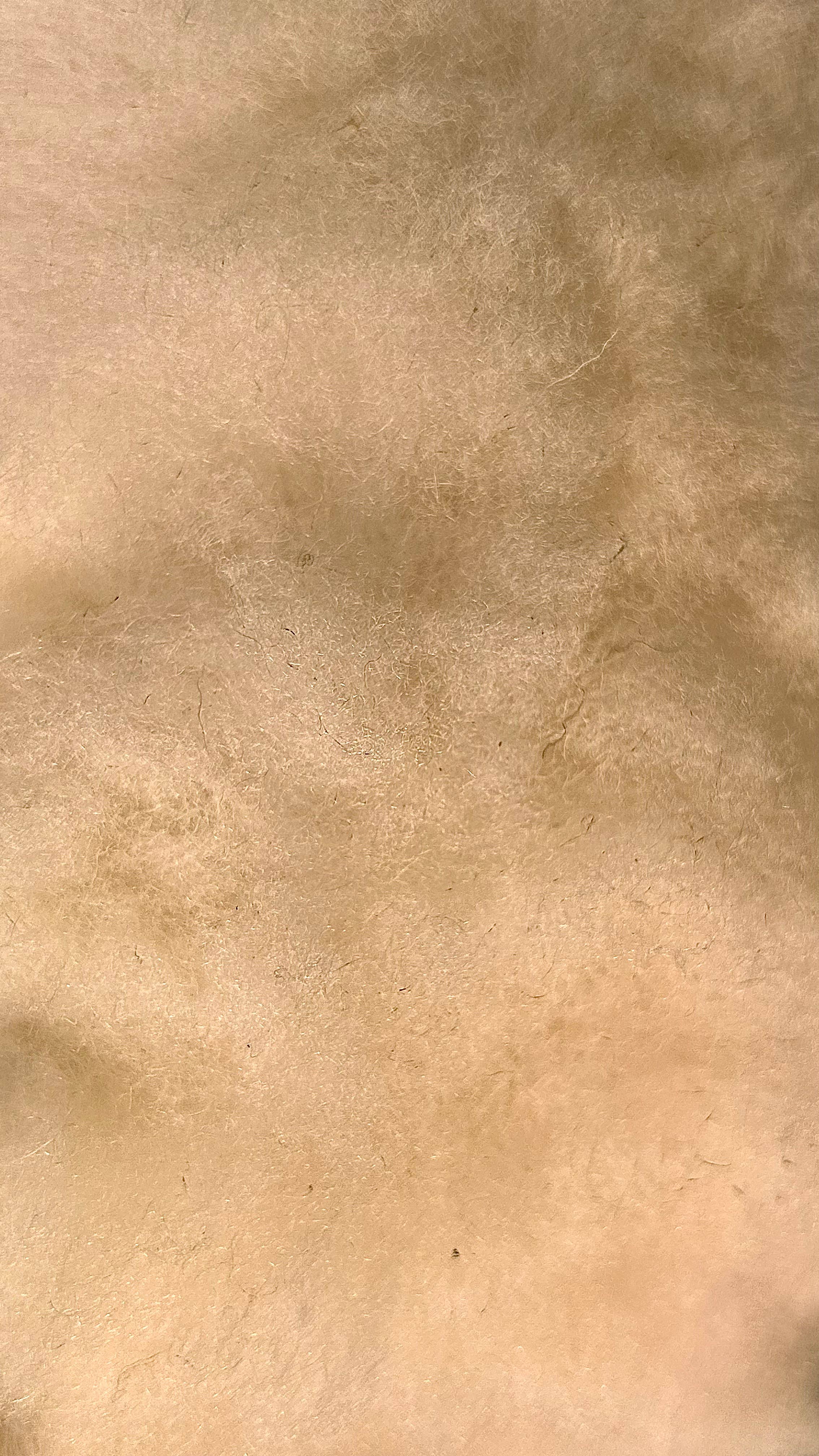 ZINE & LYNE - Wholesale Decorative Tabletop Object - Decorative sheep4