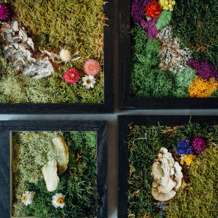 Framed Moss Art for wholesale by Moss and Canvas