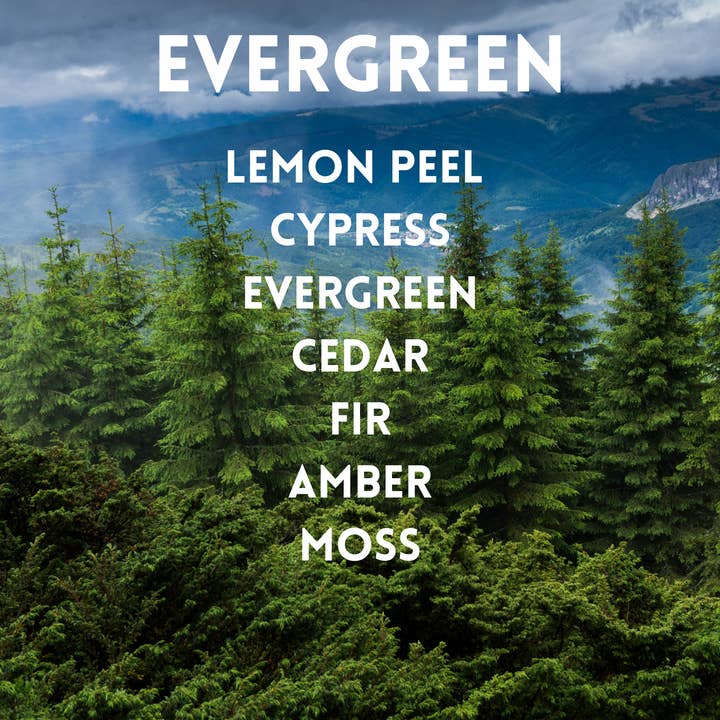 Evergreen Soy Ljus för wholesale av Southern Skies Candle Company