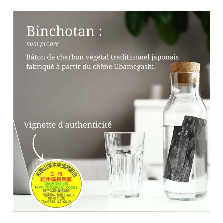 Bijin - Wholesale Water Filter - Charcoal Binchotan Japanese kishu bulk water filter 1kg3