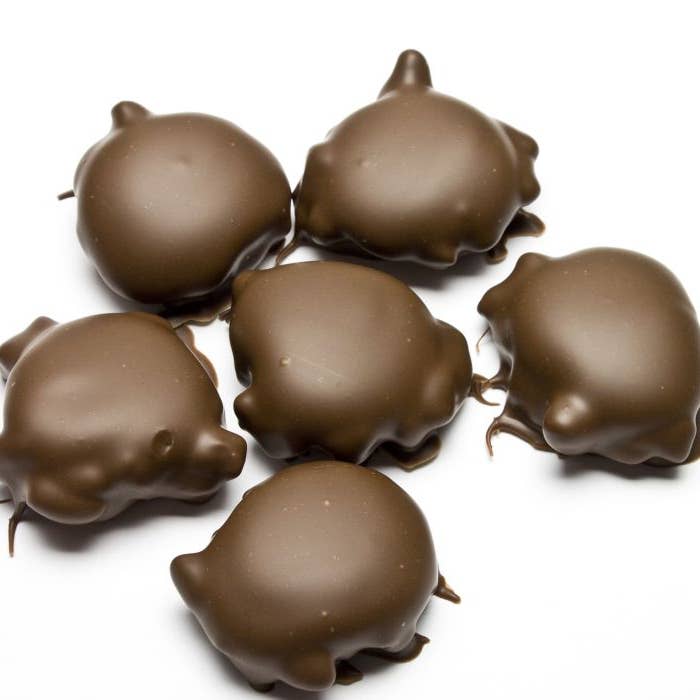 Pecan Caramel Patties Milk (5lbs) for wholesale by Katie's Candies, Inc.