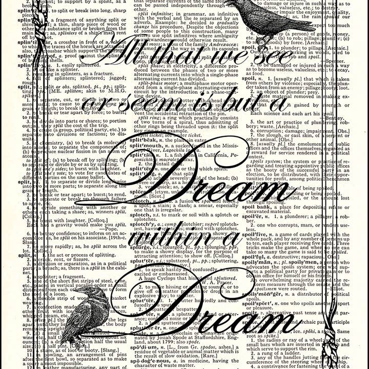 Dream Within a Dream Poe Quote Dictionary Print for wholesale by Fresh Prints of CT
