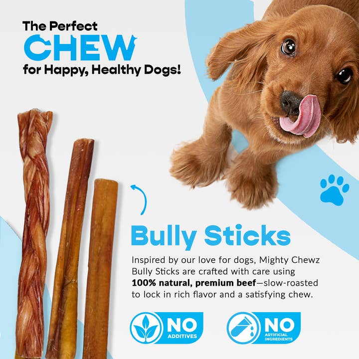 Mighty Chewz - Wholesale Pet Treats - Dog - 12" Thick Bully Sticks (140 Ct.) ($3.33 ea.)