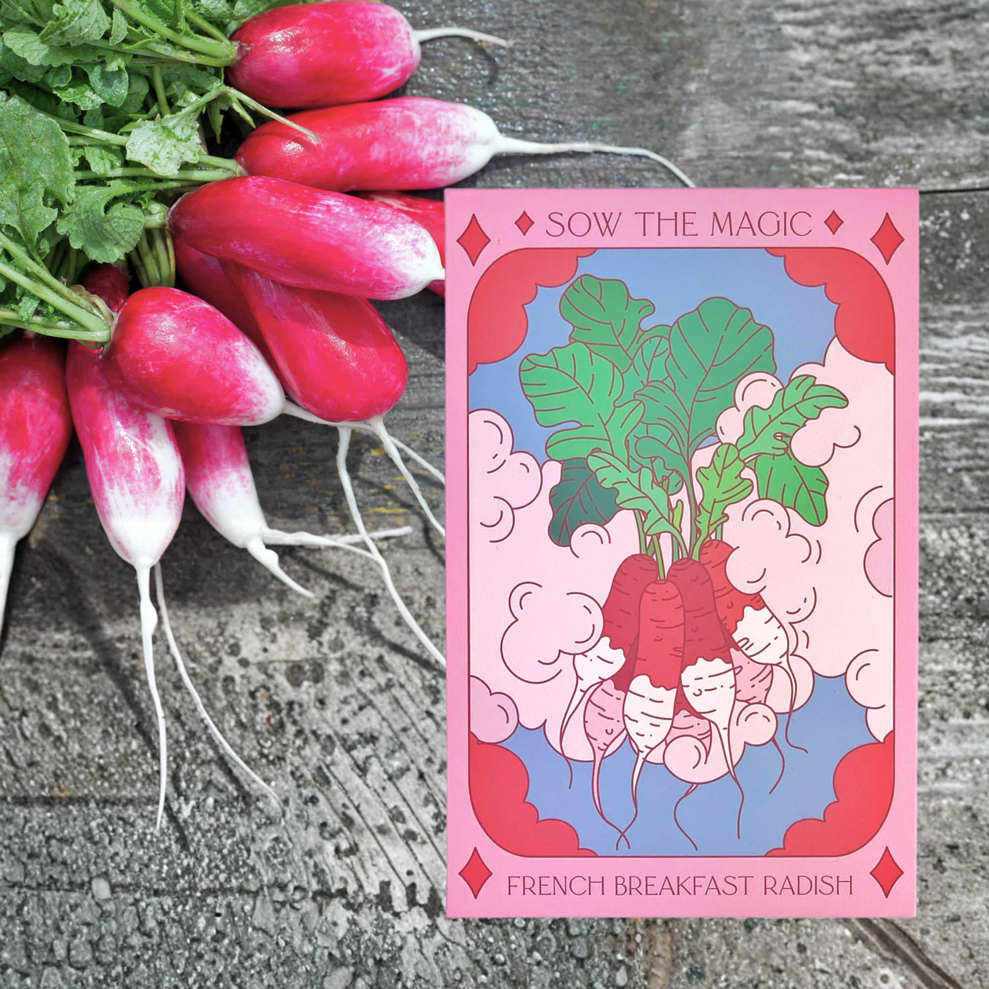 Sow the Magic - Wholesale Plant Seeds - Vegetable Bundle Seed Collection7
