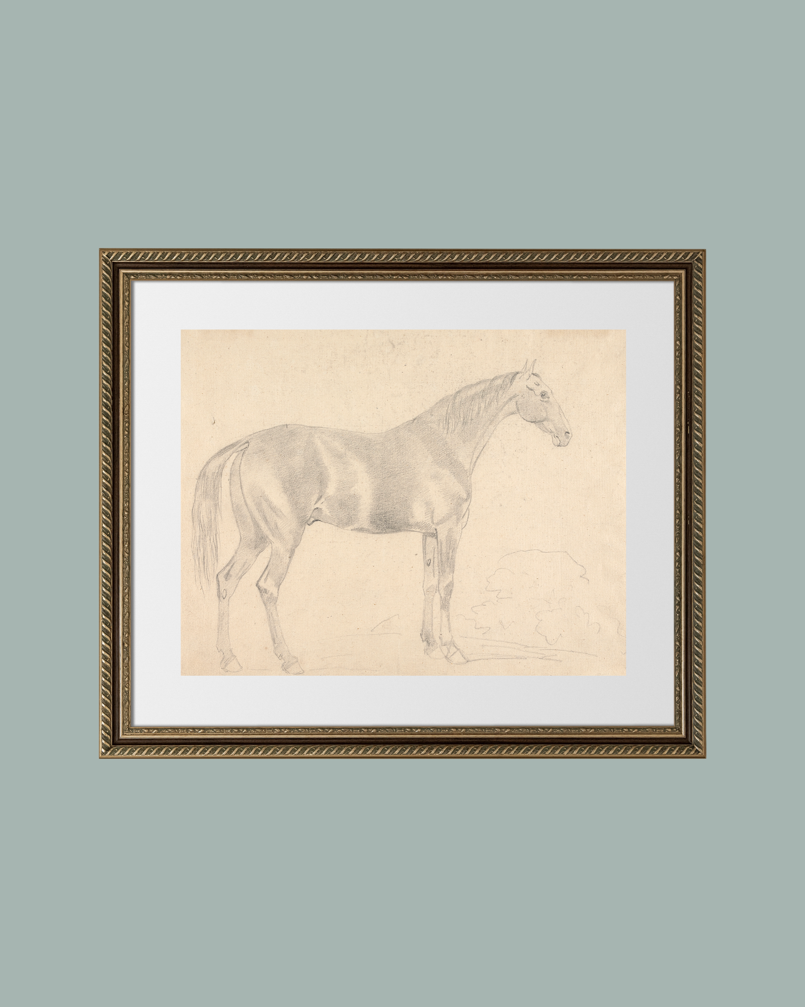 Sea to Skye - Wholesale Art Print - A Horse Facing Right Sketch Antique Art Print7