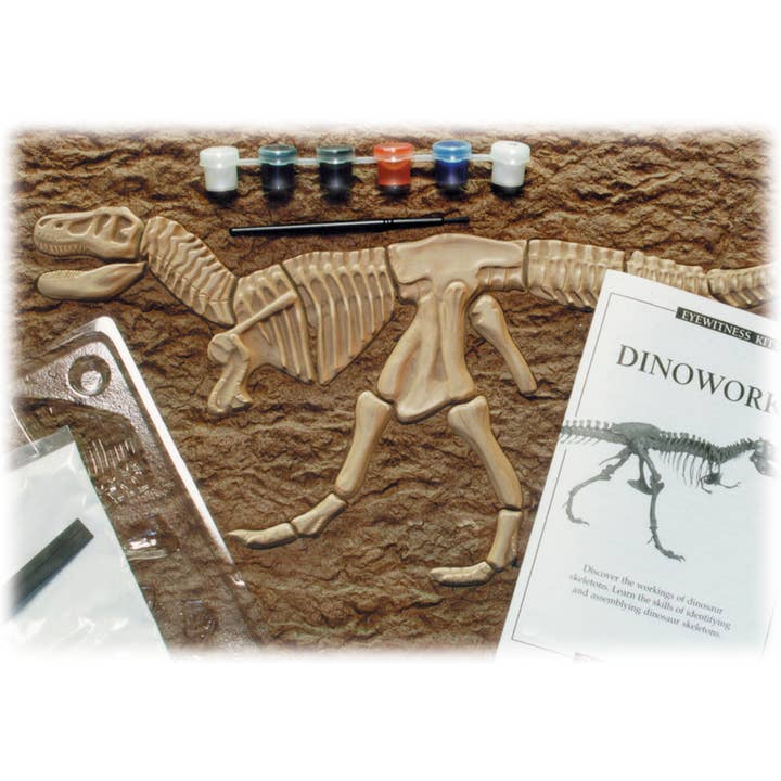 SD Toyz – Kit de artesanato DIY - Criança por atacado – Kits de criatividade e descoberta de testemunhas oculares - Triceratops1