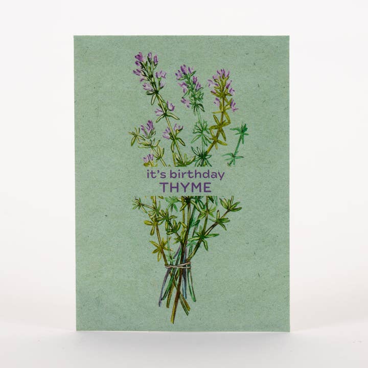 Bentley Seed Co. - Wholesale Birthday Card - It's Birthday Thyme - Thyme Seed Packets3