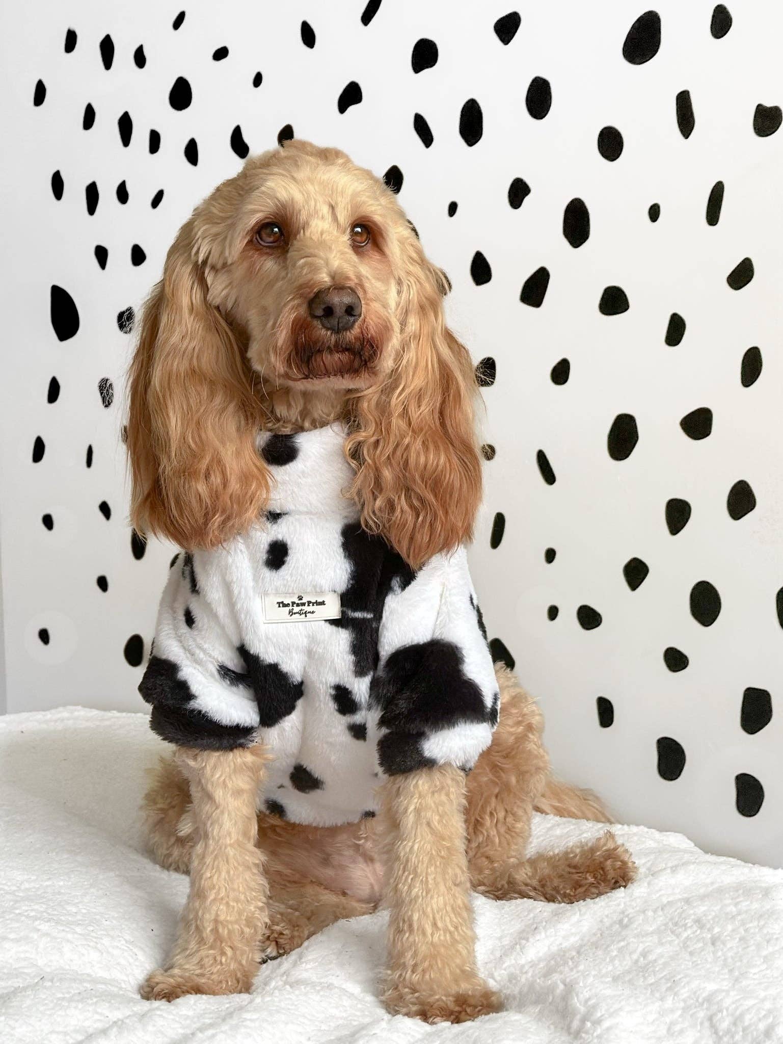 The Paw Print Boutique - Wholesale Pet Coat - Dog - The Cow Print Fluffy & Fabulous Fleece4