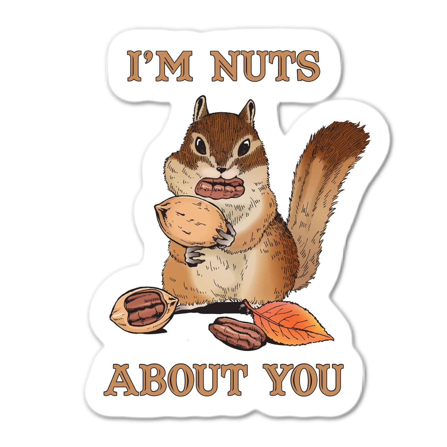 Lyrical River Designs - Vendita all'ingrosso Adesivo - Adesivo divertente a forma di scoiattolo con scritta «I'm Nuts About You»0