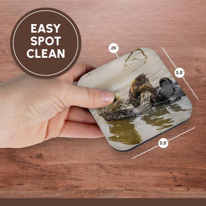 3dRose - Wholesale Coasters - 3dRose, California, Morro Bay. Sea otter mother and pup in water., Coaster13