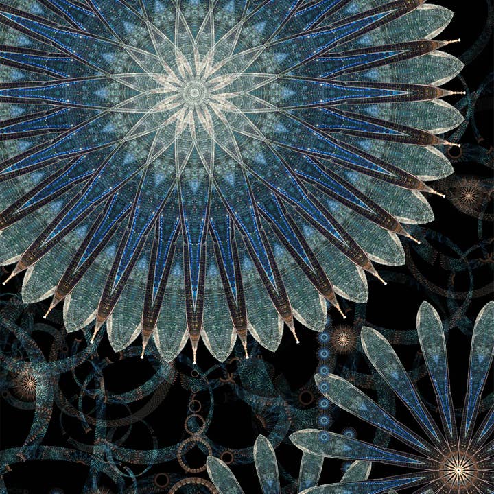 Ungerahmter limitierter Druck- Lampridaye für den Großhandel von Lauri R. Dunn Fine Art Photography