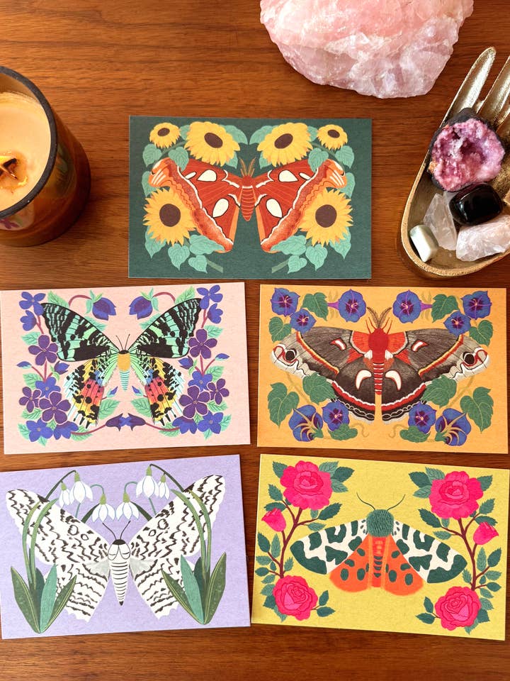 Botanical Moth Postcard Pack - 10 postcards for wholesale by Dream Folk Studio