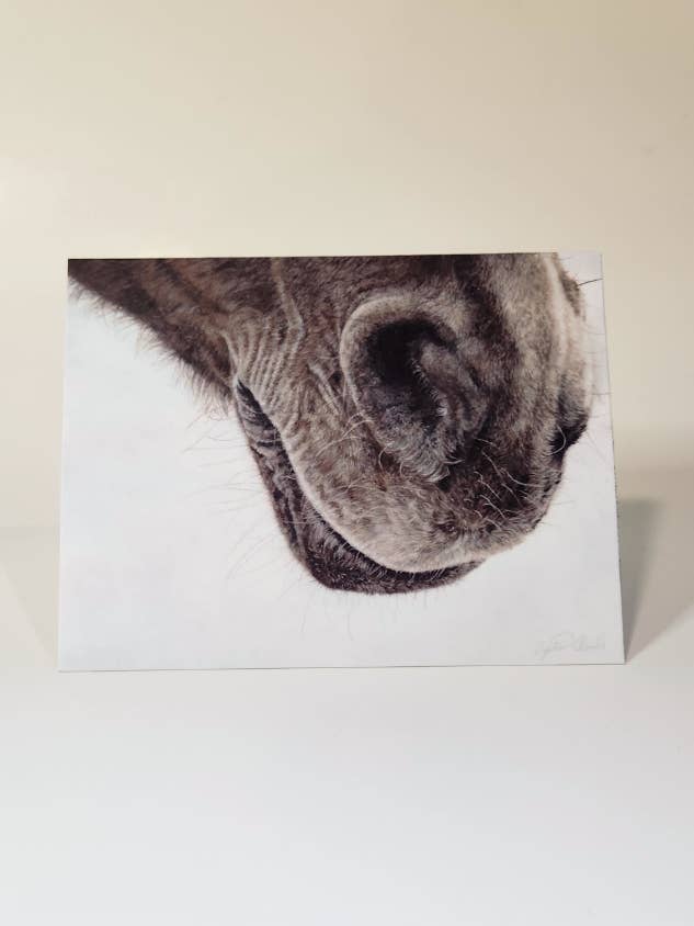 Horse Nose Premium Art Greeting Card for wholesale by Crystal Clarke Animal Art