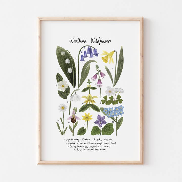 Woodland Wildflowers Art Print, Botanical Illustration for wholesale by Rhian Davie Illustration