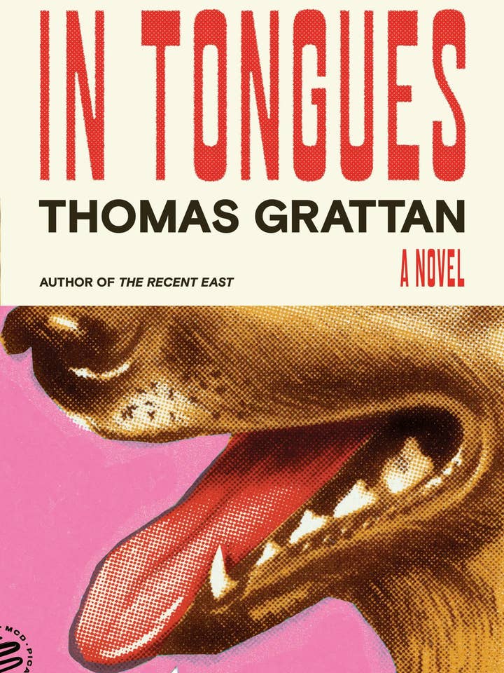In Tongues: A Novel for wholesale by Macmillan Publishers