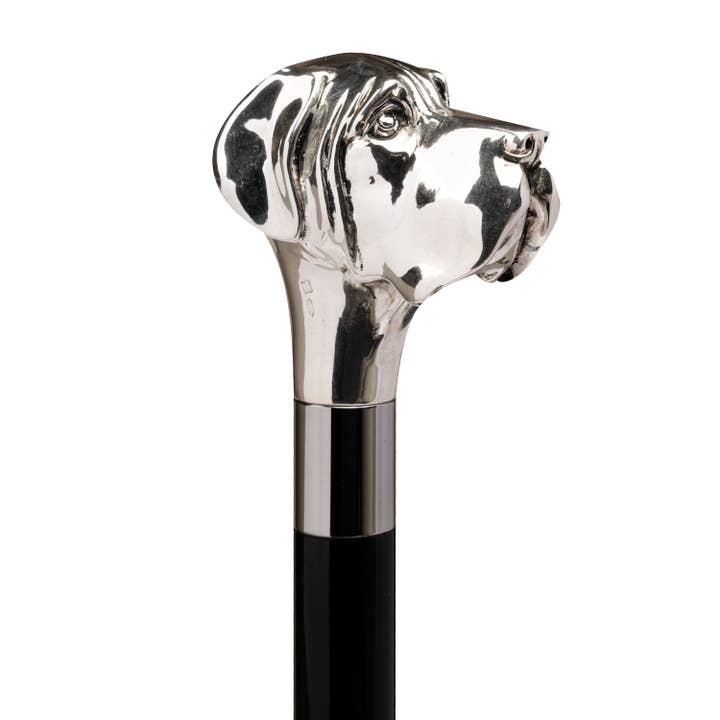 Walking Sticks/Utile4 - Venta al por mayor Accesorios de deporte - Palo de plata Labrador