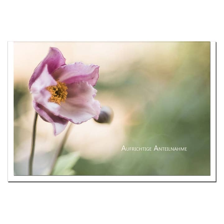 metALUm rouwkaart B6 – Condoleancekaart roze bloem met tekst "Oprechte deelneming" met witte envelop voor wholesale door metALUm