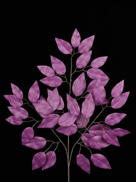 23"L PLUM FICUS SPRAY - 1 DOZEN - FG633734 for wholesale by General Wholesale Inc