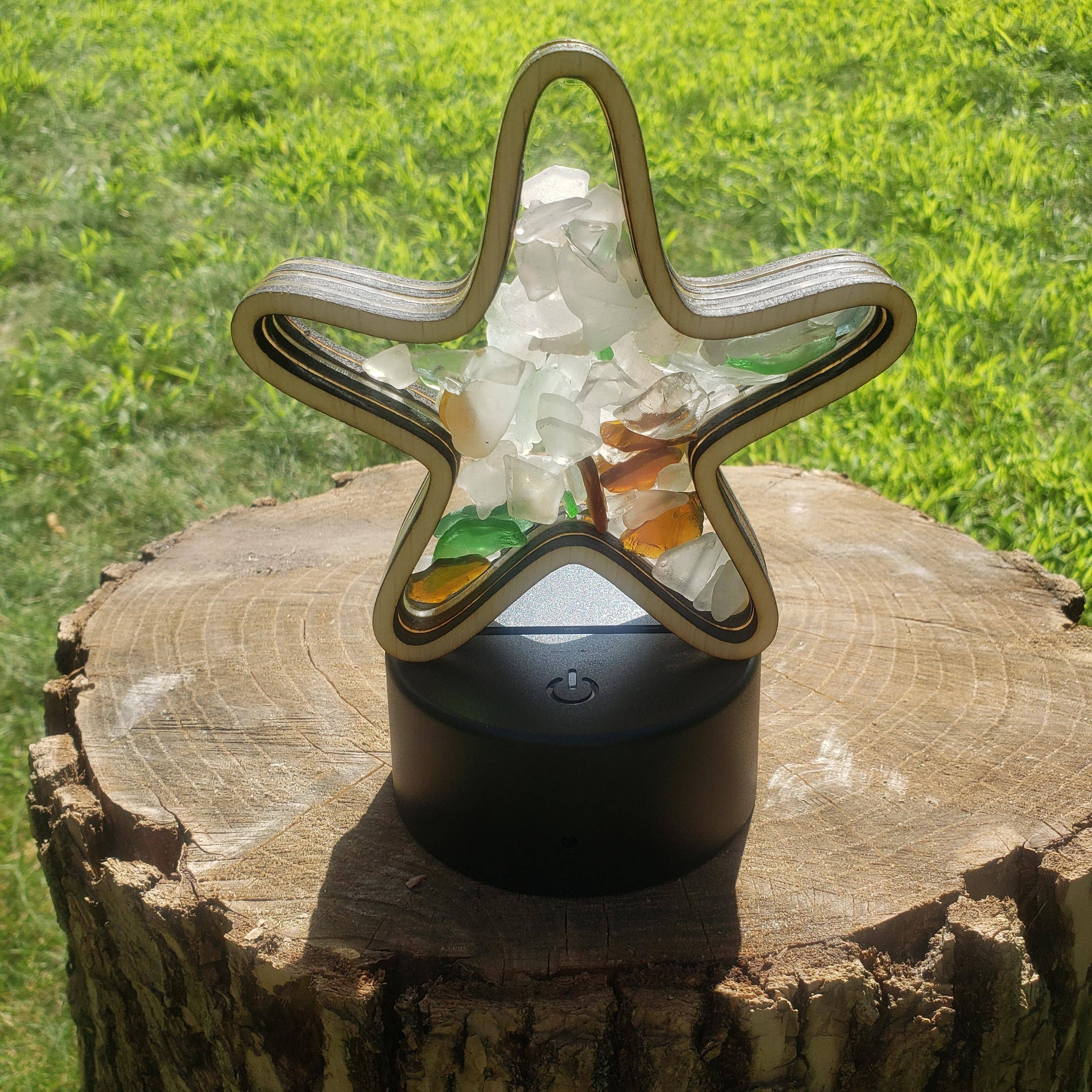 Sea Glass Displays - Vendita all'ingrosso Espositori - Espositore Shadowbox in vetro Starfish Sea 4 stili multicolore4