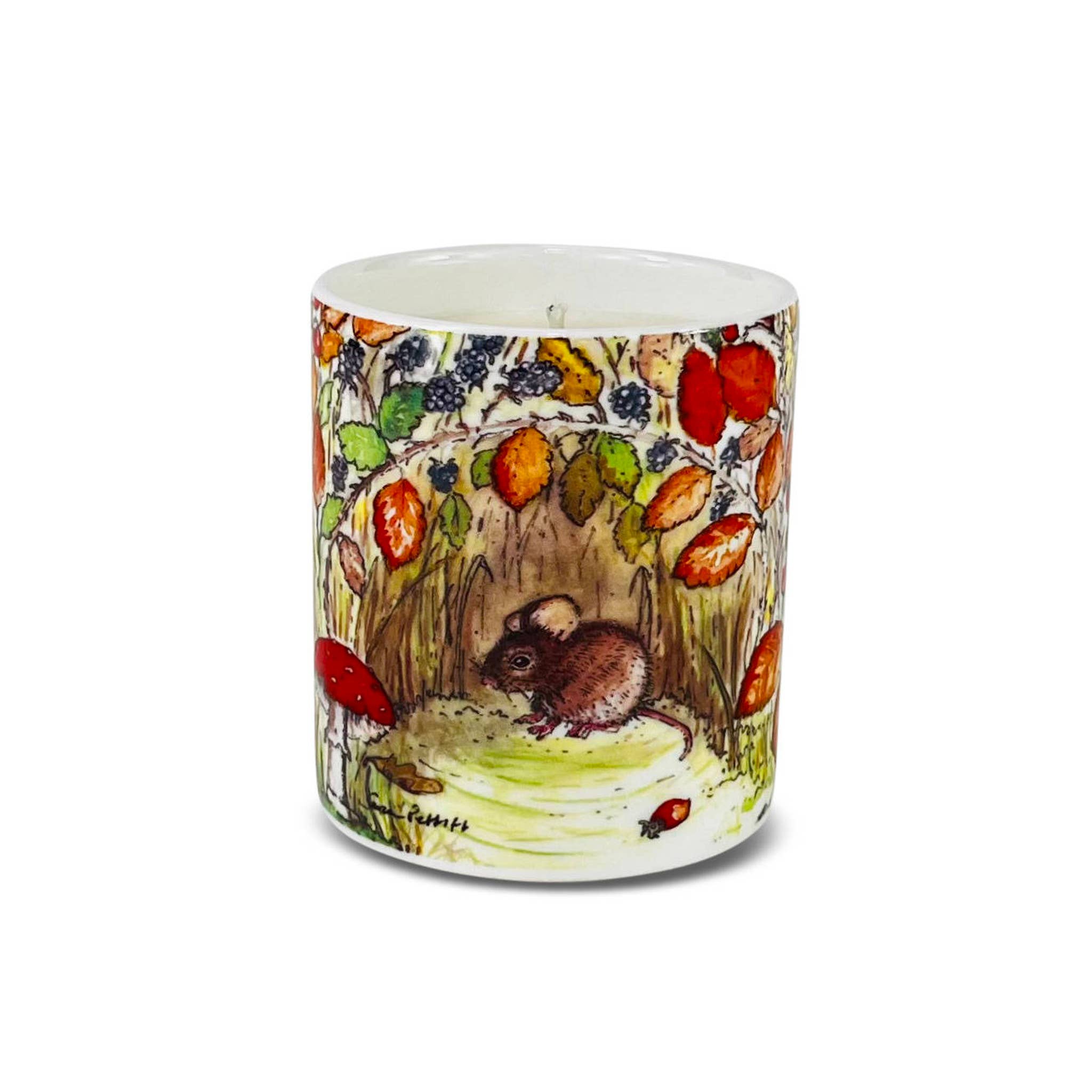 Heaven Scent Incense Ltd - Vendita all'ingrosso Candela in vasetto - Candele in vaso Bone China, gamma Wildlife0