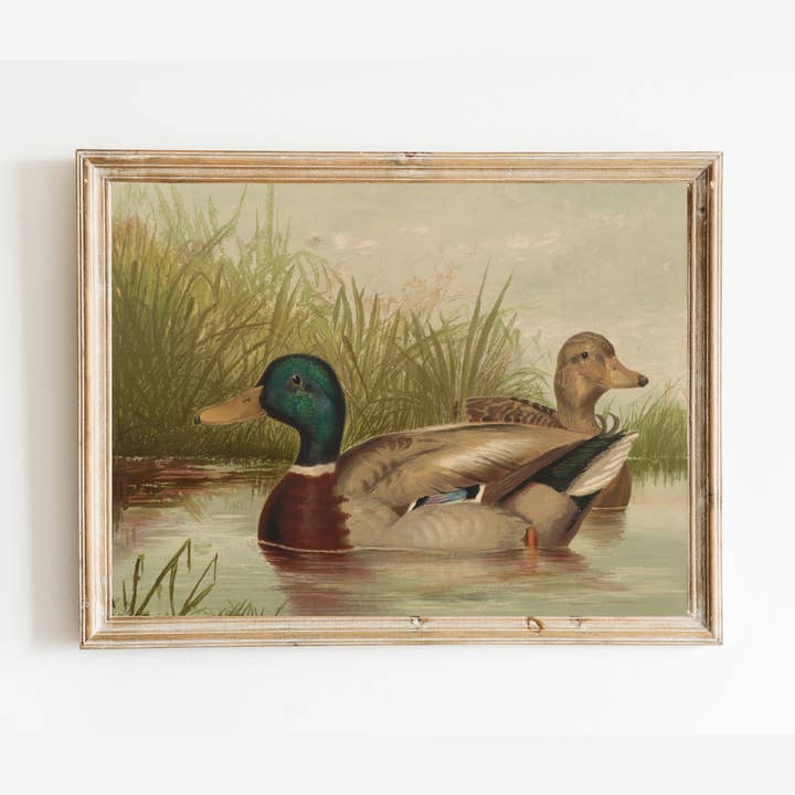Sea to Skye - Wholesale Art Print - Ducks on the Pond Antique Art Print3