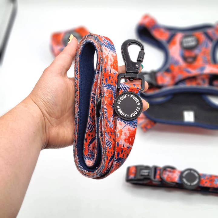 Funfari - Lead for wholesale by Funky Floof