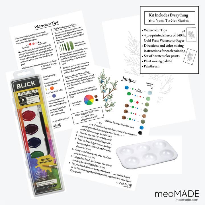 meoMADE - Wholesale DIY Craft Kit - Winter Botanicals - Watercolor Painting Kit1
